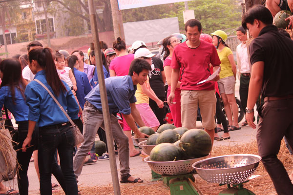 Người[-]dân[-]Ninh[-]Bình[-][-]mua[-]dưa[-]ủng[-]hộ[-]nông[-]dân[-]Quảng[-]Ngãi[-]